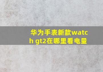 华为手表新款watch gt2在哪里看电量